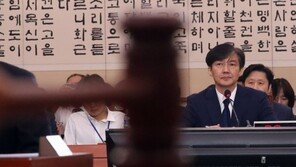 결정적 한방 없는 조국 청문회…이대로 끝나면 임명 가능성 ↑