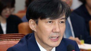 “조국 딸 포렌식 자료유출” 여당 화살에 檢 “사실 아냐” 펄쩍