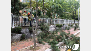 태풍 ‘링링’ 근접, 서울지하철 지상구간 40㎞/h 이하로 서행 운행