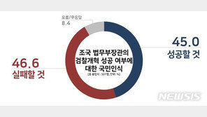 조국 법무장관 검찰개혁 전망, ‘성공’ 45.0% vs ‘실패’ 46.6%