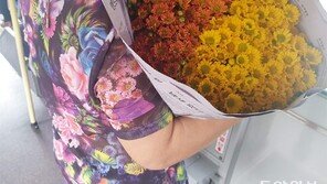 완벽한 조화[고양이 눈]