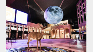 국립현대미술관 등 연휴 공짜관람 ‘쏠쏠’