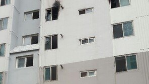 “베란다 매달린 딸 구하라” 5층 아파트 화재 뛰어든 40대