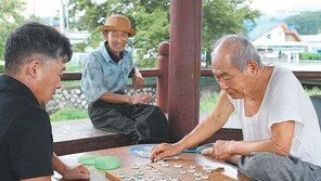 고수와 훈수[고양이 눈]