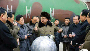 SIPRI “北 내년까지 핵탄두 30~40개 보유할 것으로 추정”