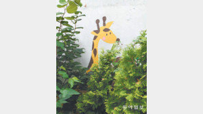 수풀 속 기린[고양이 눈]