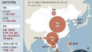 “치료제도 없는데 감염되면 어쩌나” 돼지사육 농가들 발동동