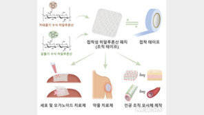 “파스처럼 붙여 세포·약물 흡수” 하이드로젤 테이프 개발