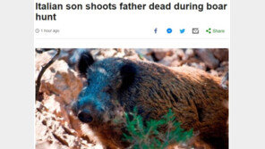 이탈리아서 멧돼지 사냥중 아들이 쏜 총에 아버지 숨져