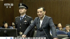 덩샤오핑 손녀사위 우샤오후이에 中 사상 최대 14조 벌금…왜?