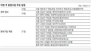 [부동산 캘린더]전국 4개 단지 3433채… 본보기집 17곳 열어