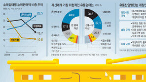 대형마트 규제 부작용 큰데… 복합몰 출점까지 제한하겠다는 정부