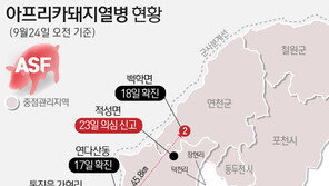 국정원 “돼지열병 北유입 명확지 않지만…평북 북부  돼지 전멸”