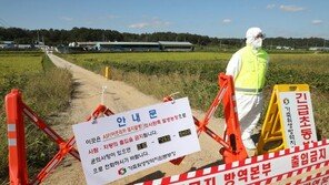 돼지열병, 경기도 이어 인천까지 번지나…초기 방역 실패론 ‘모락’