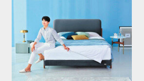 한 번 사면 10년 쓴다… 우리도 ‘박보검 침대’로 시작할까