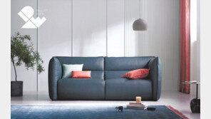 카페 같은 거실엔 일자형-아이 있는 집엔 좌식 소파