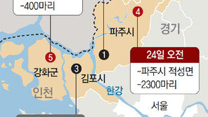 중점관리, 인천-경기-강원 확대… 가축 이동중지명령