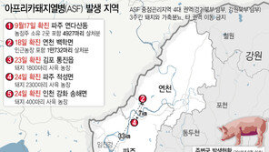 靑, ‘아프리카돼지열병 TF’ 신설…“밀도있고 실질적 대응”