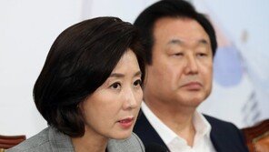 나경원 “김정은 답방설, 조국 덮기용…결국 북풍밖에 없는가”