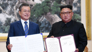 “김정은 11월 부산 방문…국민 69.7% 긍정적 영향”