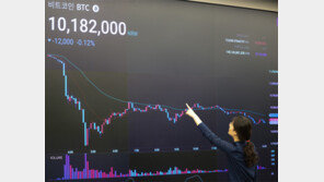 하루새 10% 넘게 수직 낙하… 가상통화 주저앉나
