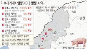 ‘육군은 억울하다’…접경지역 잇단 돼지열병에 1군단 “철책 뚫린적 없어”