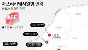 [속보] 경기 양주시 은현면 돼지농장 ‘아프리카돼지열병’ 의심 신고