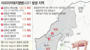 아프리카돼지열병 파주·김포에 끼인 고양시…“최대 수준 방역”