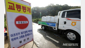 ‘석모도’ 섬까지 번진 돼지열병…어리둥절해진 방역당국