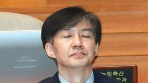 曺 “그정도 부탁 할수있다 생각” 검사 “매우 부적절하다고 판단”