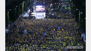 대안정치 “언제까지 조국 때문에 나라 ‘두 동강’ 나야 하나”