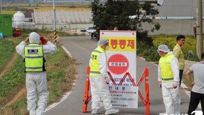 최대 축산단지 홍성 아프리카돼지열병 의심축…확진시 전국 확산 우려