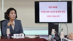 나경원 “서초동집회 ‘200만’ 거짓말, ‘3.5~5만명’이 합리적”