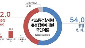 서초동 검찰개혁 촛불집회…공감 54% vs 비공감 42%