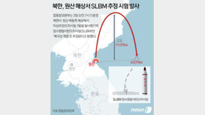 합참 “北탄도미사일, SLBM 추정…비행거리 약 450km”