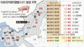 파주 ASF 추가확진 의문… ‘초기 바이러스 유출 있었나’