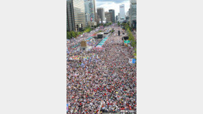 “군중의 많고 적음, 본질 아니다”…與, 도심집회 축소 해석