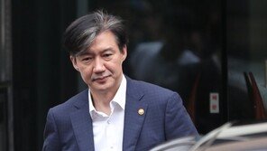 조국 딸 “‘서울대 인턴 집에서 했다’ 한 적 없다…고졸돼도 상관없어”