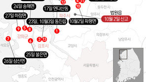 백령도서 아프리카 돼지열병 의심축…1차 부검 ‘이상 없음’