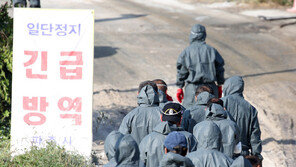 파주 돼지 모두 없애는 조치에 지역 여론 ‘엇갈려’