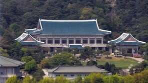 靑 “북미 실무협상 성공 기대…‘DMZ 국제평화지대’ 조기 추진”