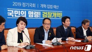 與 검찰개혁특위, 6일 기획회의…개혁안 마련 속도