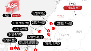 포천 돼지열병 의심신고…경기남부·강원도도 비상