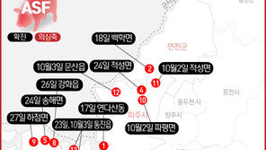 충남 보령 아프리카돼지열병 의심축 ‘음성’ 판정