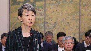 우상호 “경복궁 3천원, 英버킹엄궁 2만6600원…입장료 낮다”