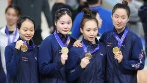 서울, 24년 만에 전국체전 종합 우승…‘5관왕’ 김서영 MVP