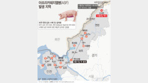 정부 “연천, 돼지열병 추가발생 배제 못해…확산시 포천·철원도 위험”