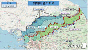 ‘돼지열병 긴급대책’…서울 이북지역 멧돼지 모두 제거한다