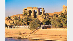 환승 없이 카이로 직행… 전세기 타고 이집트 여행