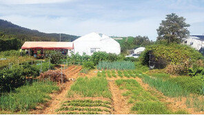 ‘포스트 강남’ 성남 고등지구, 시세 반값 토지 매물